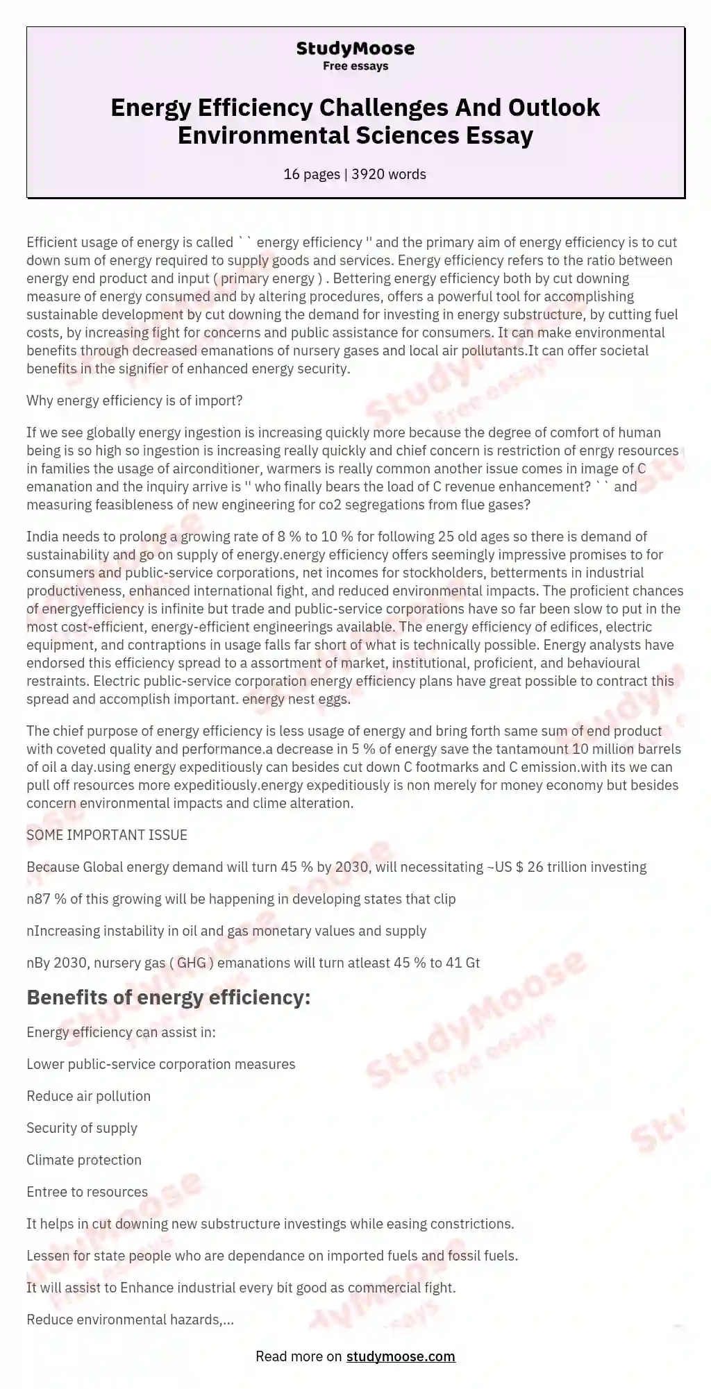 Energy Efficiency Challenges And Outlook Environmental Sciences Essay