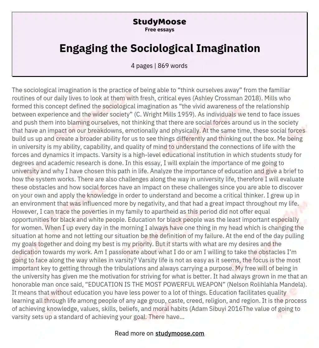 Engaging the Sociological Imagination essay