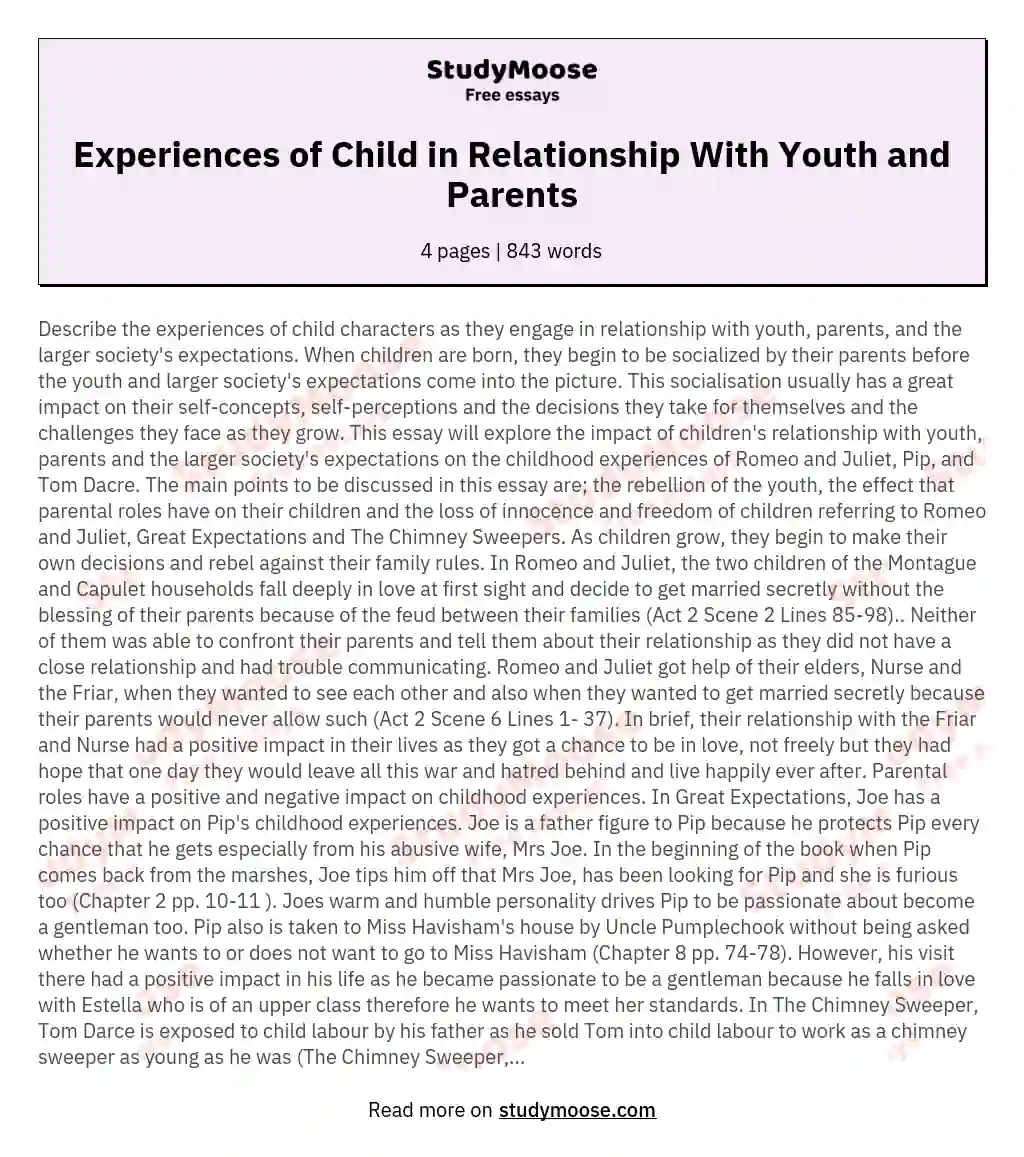 Experiences of Child in Relationship With Youth and Parents essay