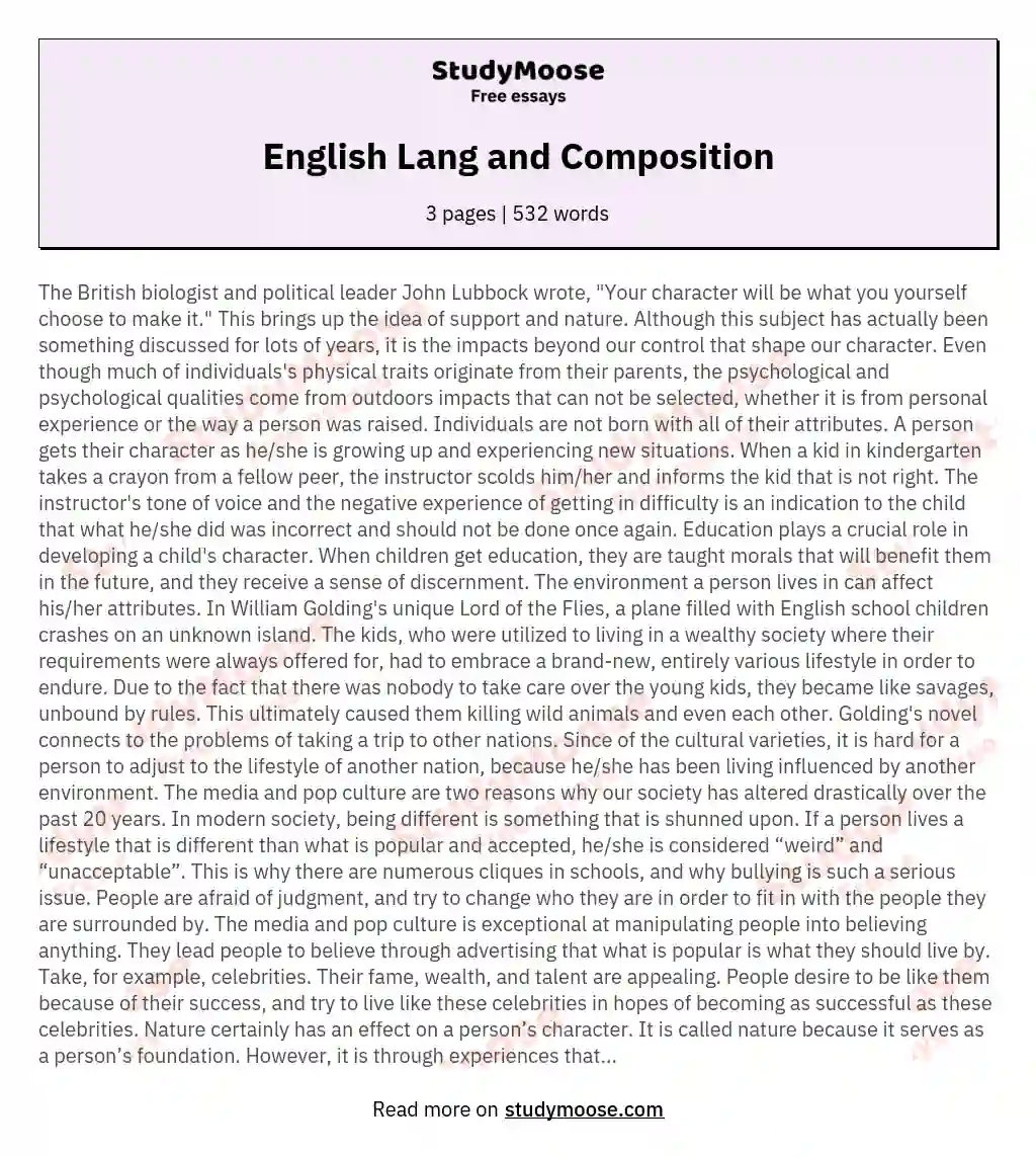 English Lang and Composition essay