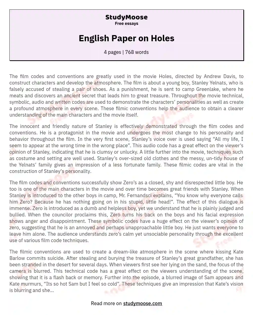 English Paper on Holes essay