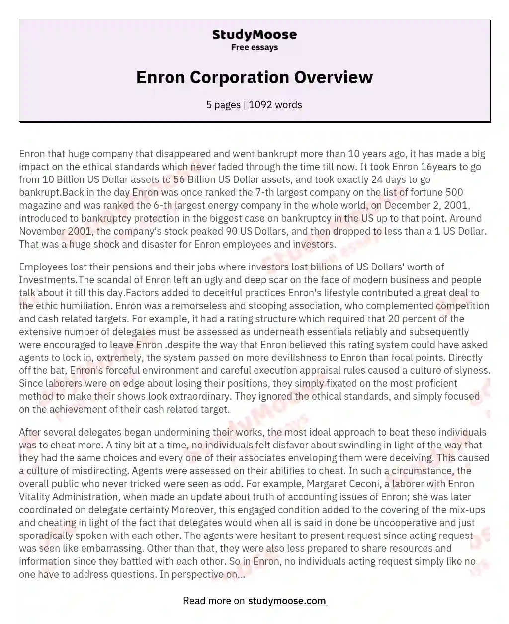 Enron Corporation Overview essay