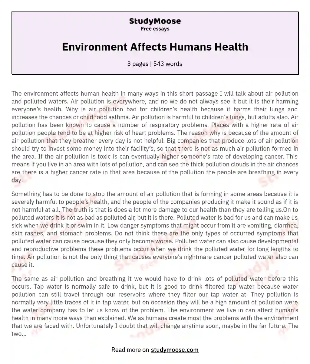 Environment Affects Humans Health essay