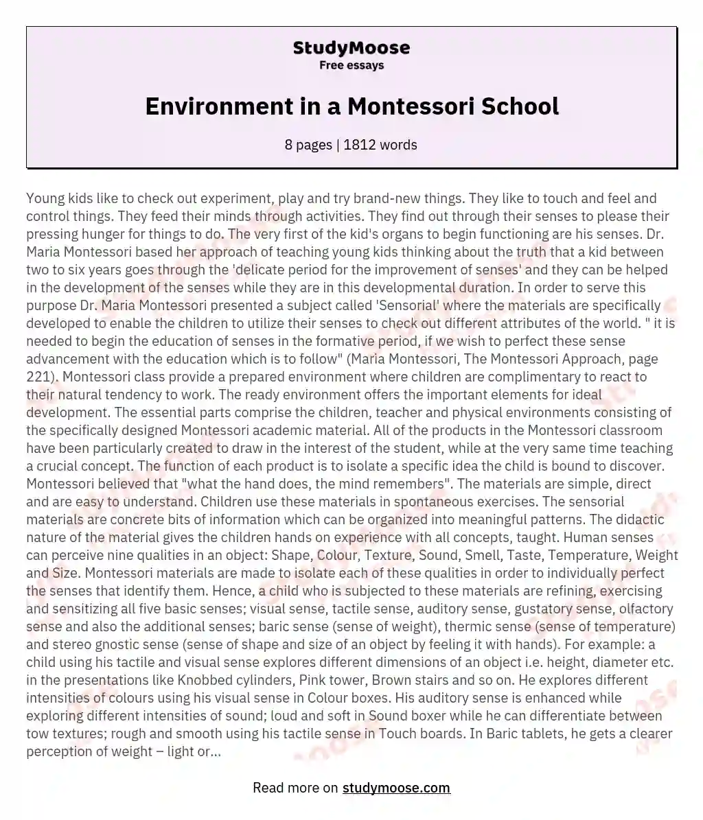 Environment in a Montessori School essay