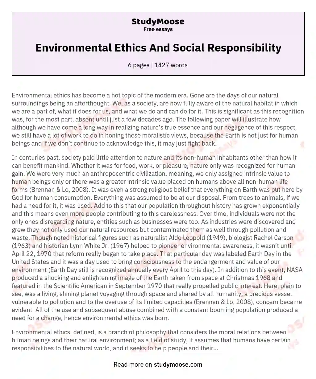 Environmental Ethics And Social Responsibility essay