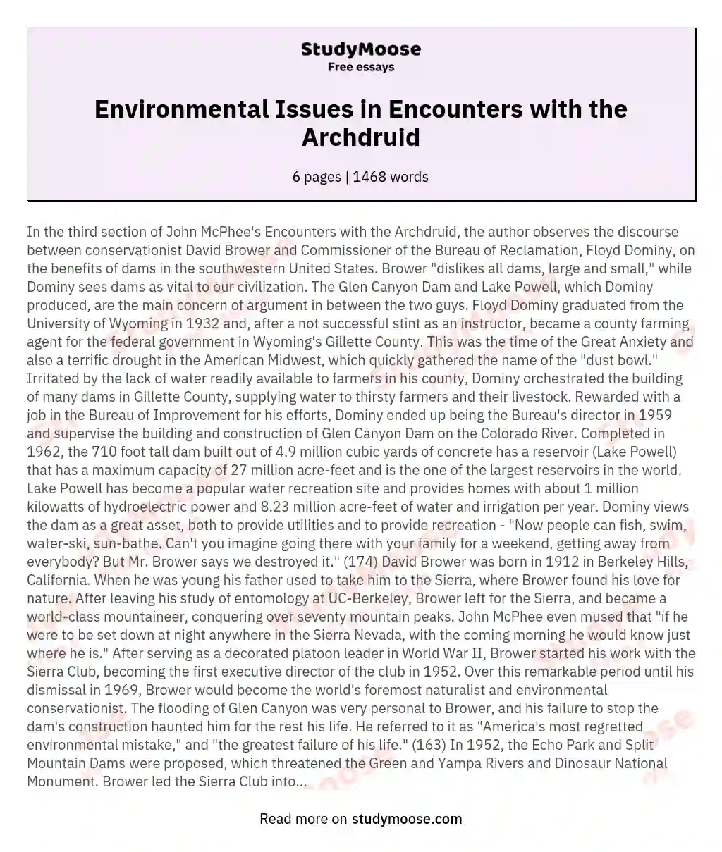 Environmental Issues in Encounters with the Archdruid essay