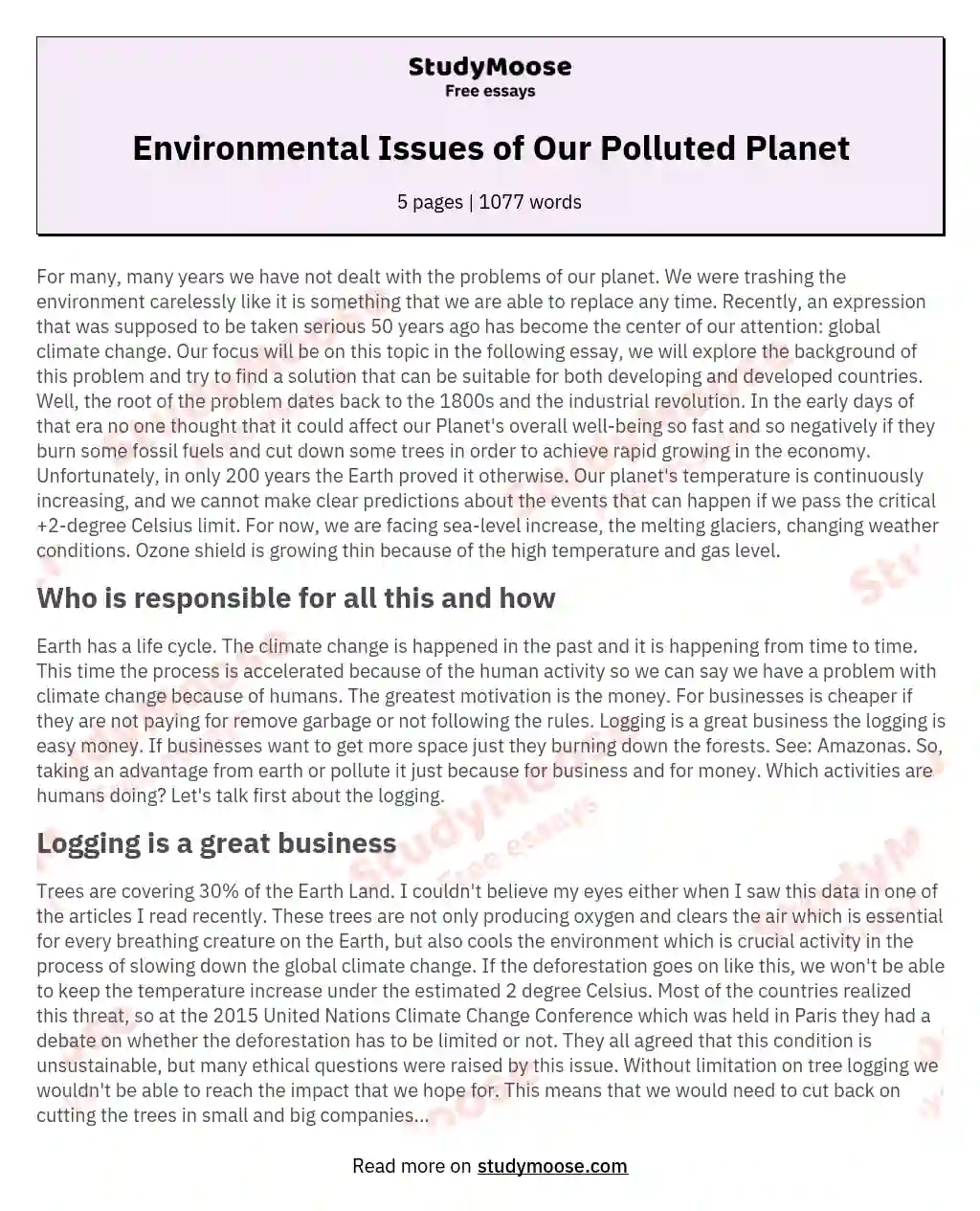 Environmental Issues of Our Polluted Planet essay
