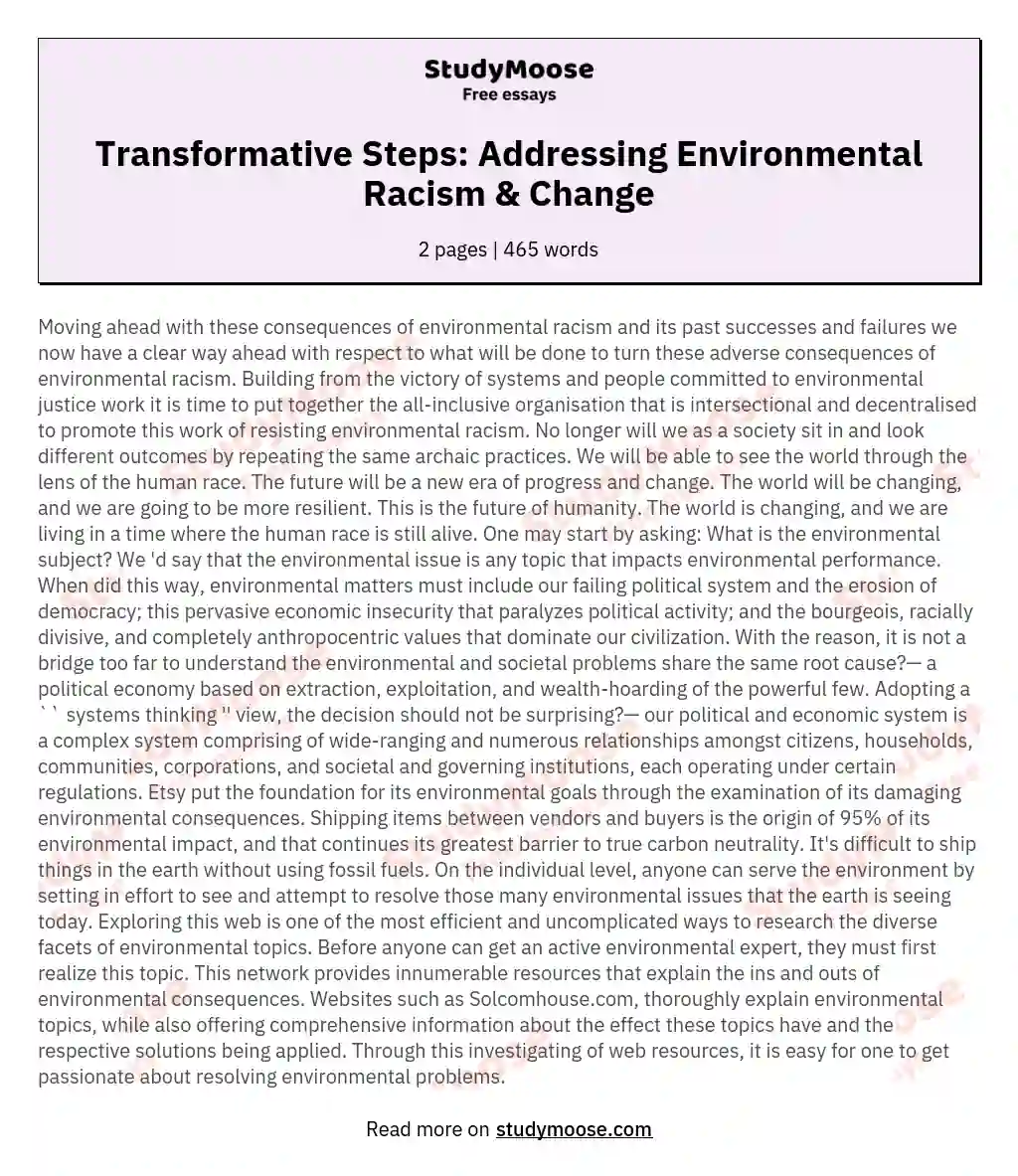 Transformative Steps: Addressing Environmental Racism & Change essay
