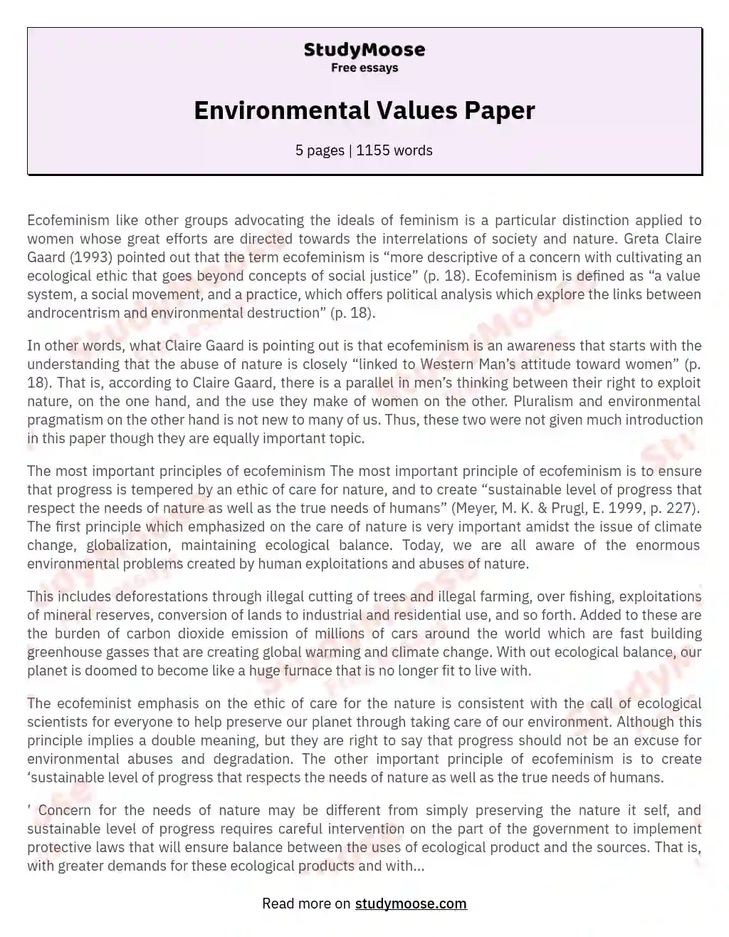 Environmental Values Paper essay