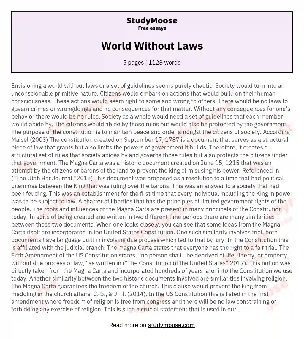 World Without Laws essay
