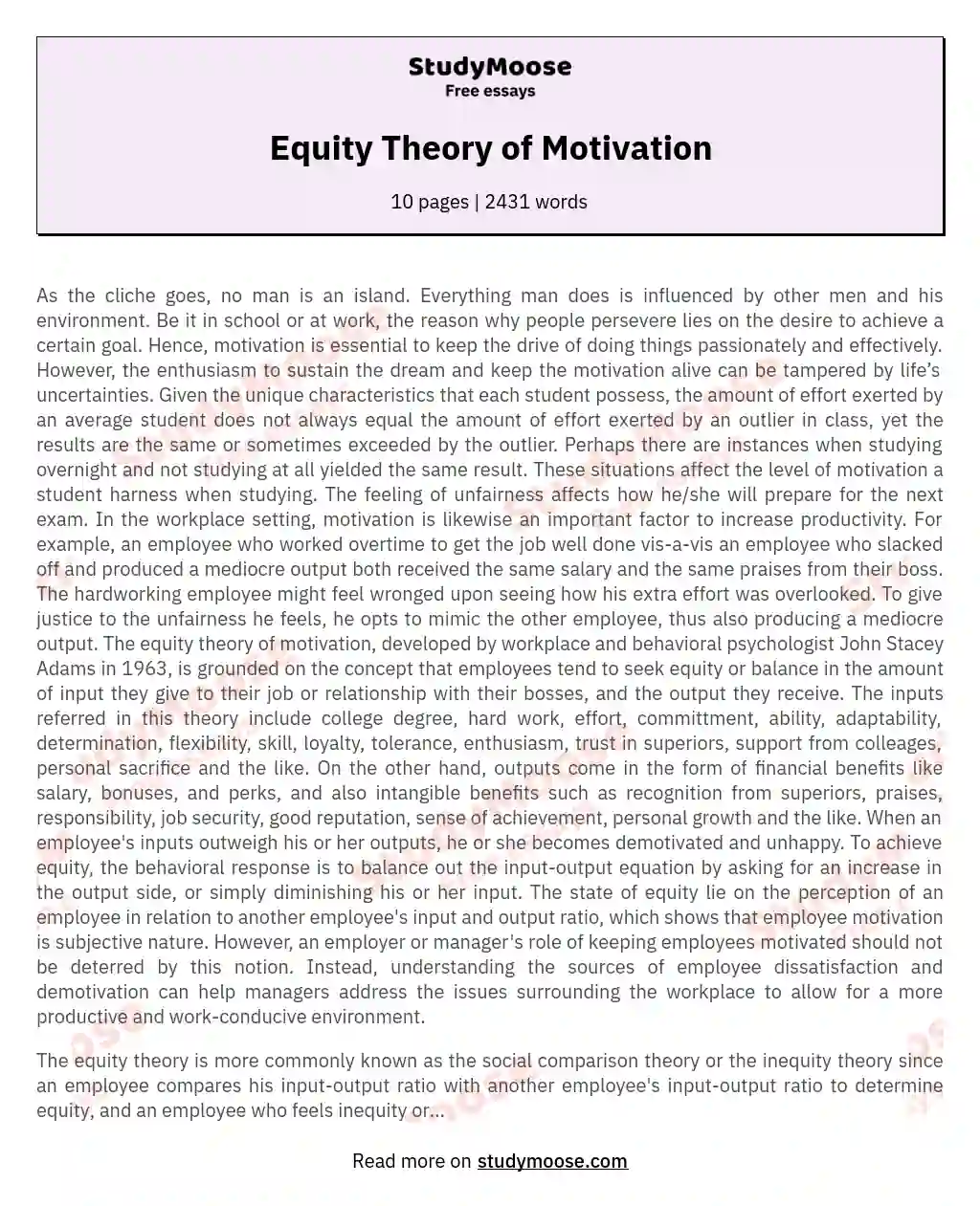 Equity Theory of Motivation essay