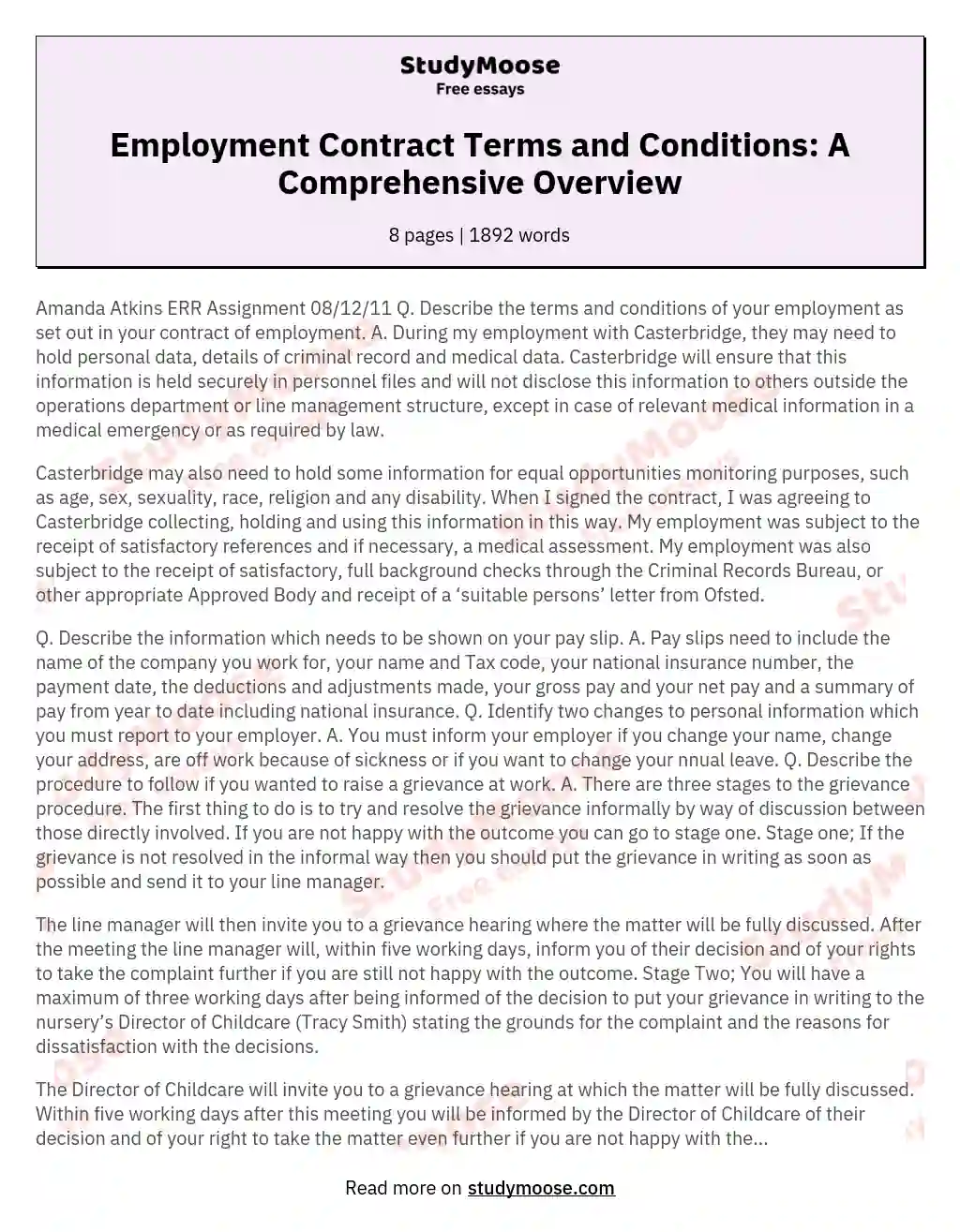 Employment Contract Terms and Conditions: A Comprehensive Overview essay