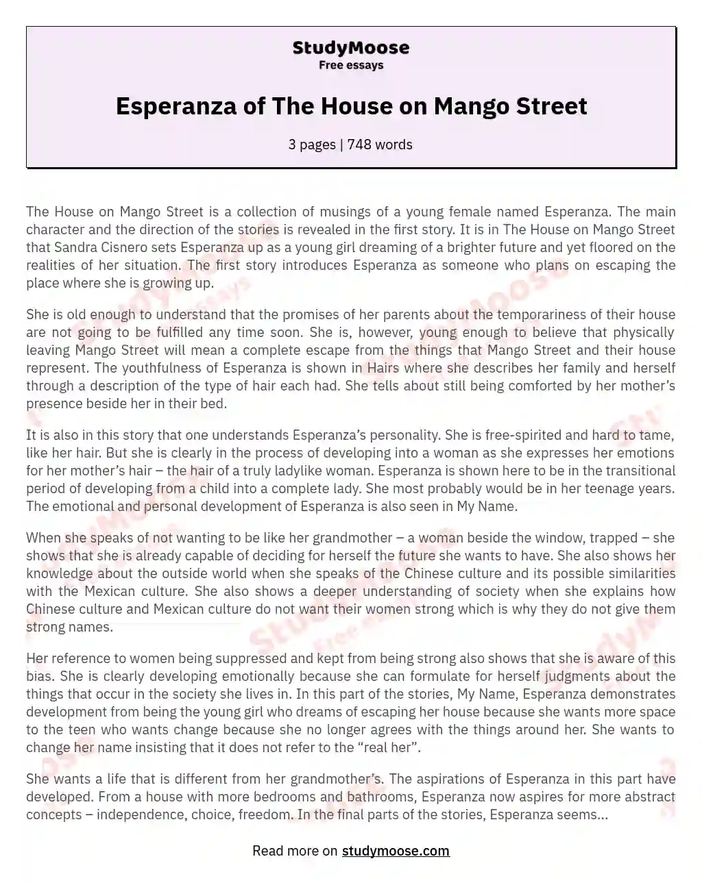 Esperanza of The House on Mango Street essay