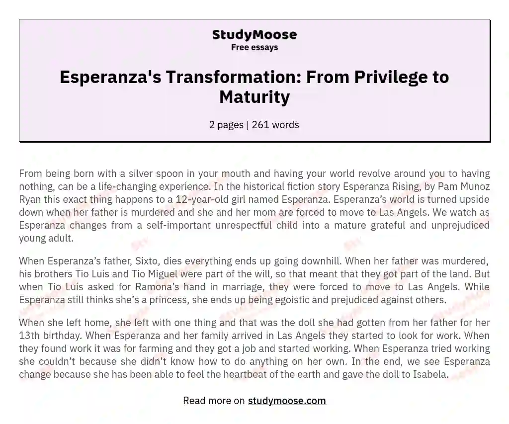 Esperanza's Transformation: From Privilege to Maturity essay