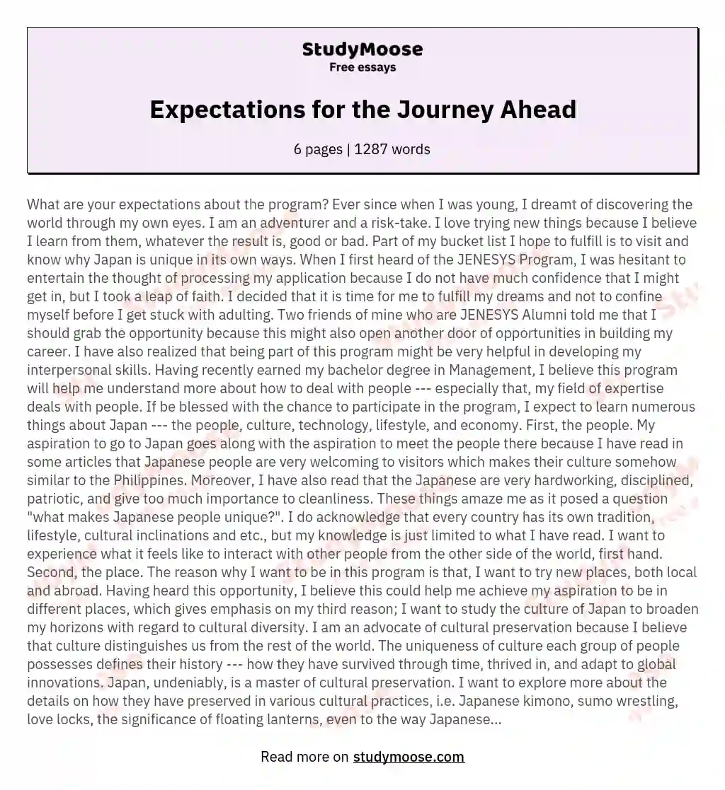 Expectations for the Journey Ahead essay