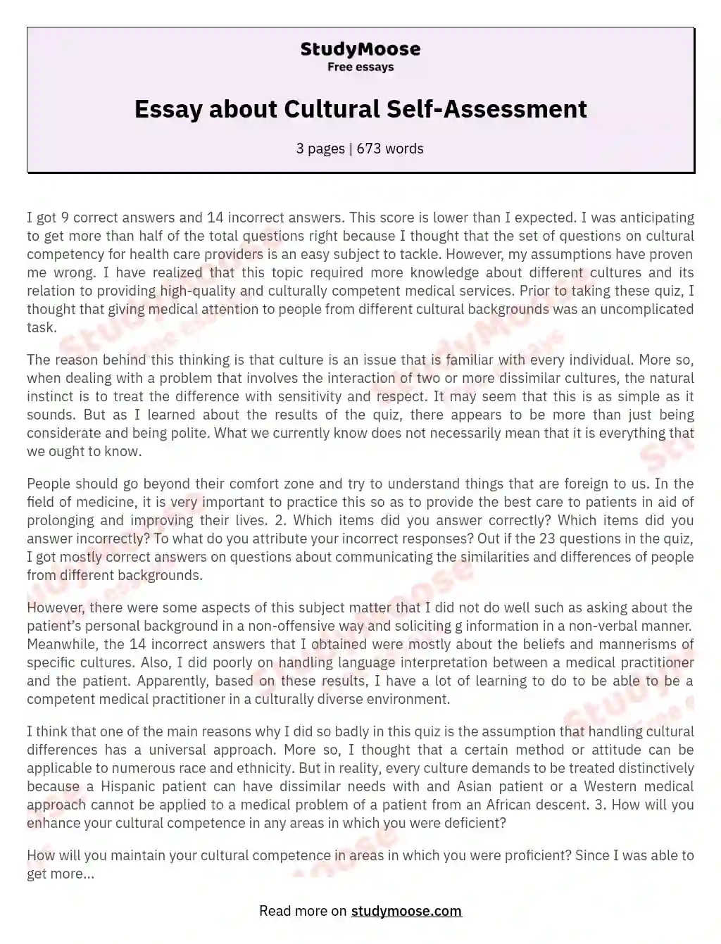 Essay about Cultural Self-Assessment