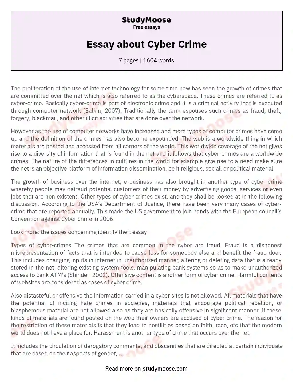 Essay about Cyber Crime