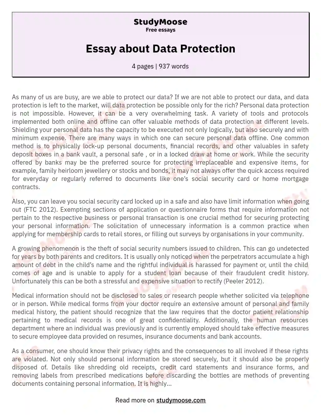 Essay about Data Protection essay