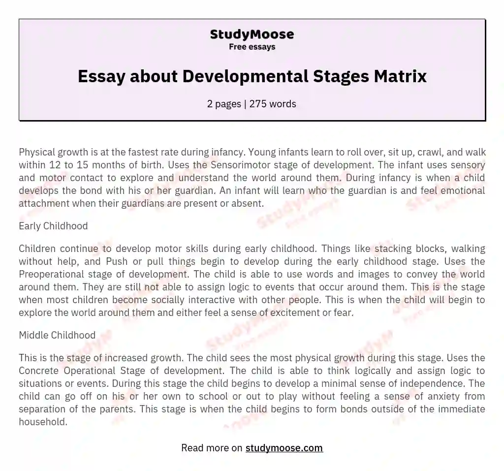 Essay about Developmental Stages Matrix essay