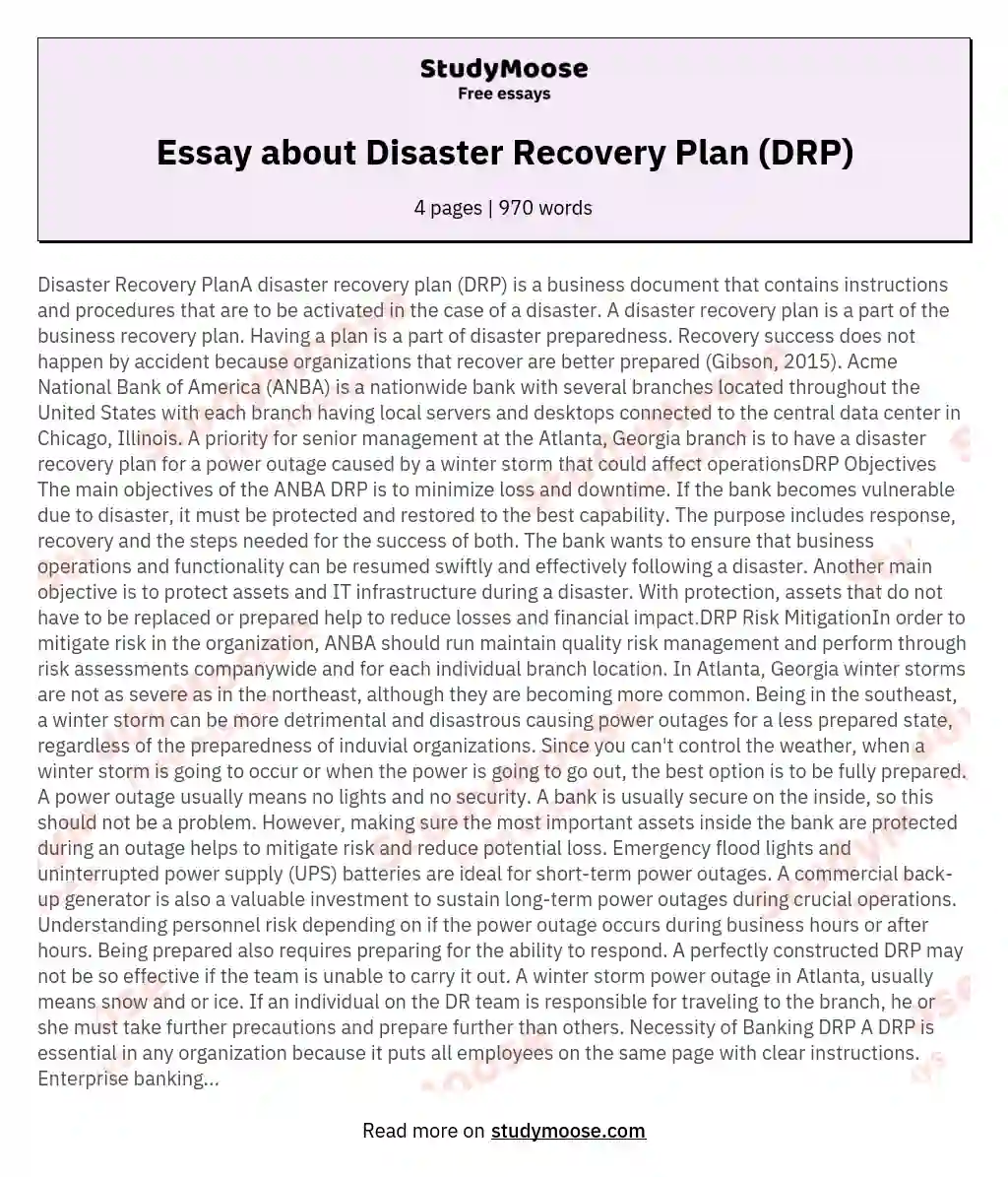 Essay about Disaster Recovery Plan (DRP) essay