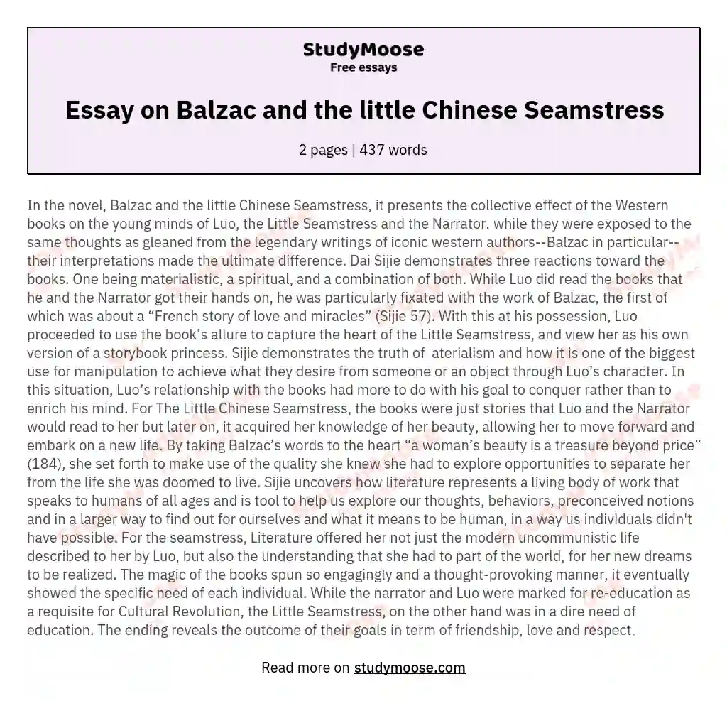 Essay on Balzac and the little Chinese Seamstress essay