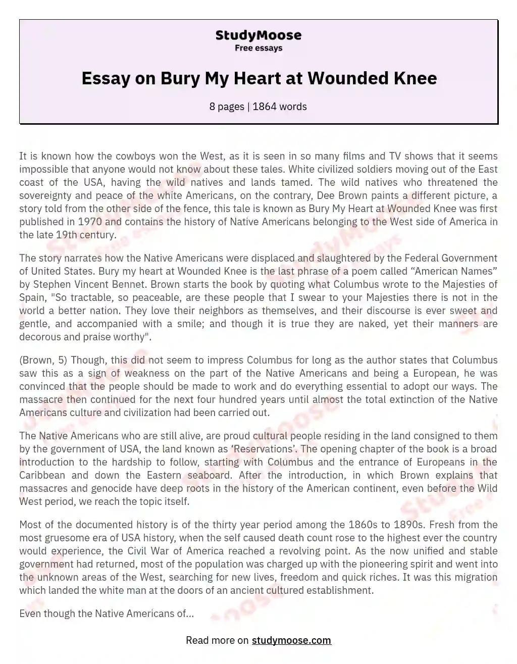 Essay on Bury My Heart at Wounded Knee