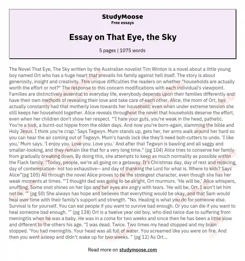 Essay on That Eye, the Sky essay