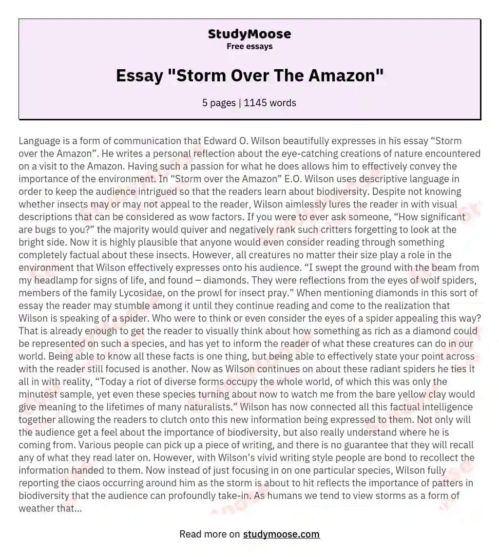 Essay "Storm Over The Amazon" essay