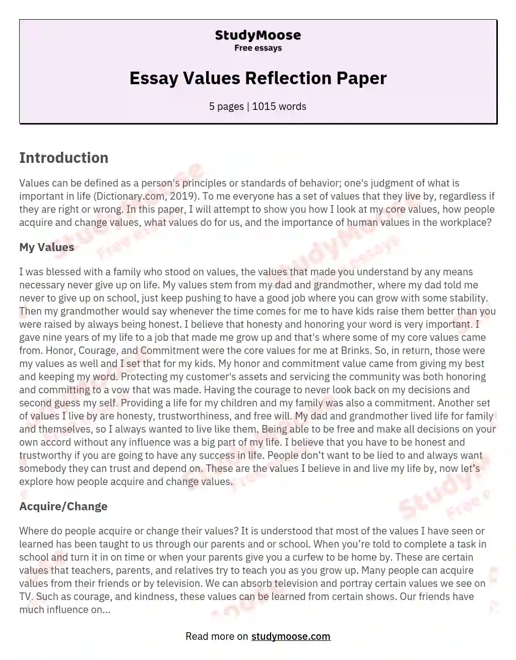 Essay Values Reflection Paper essay