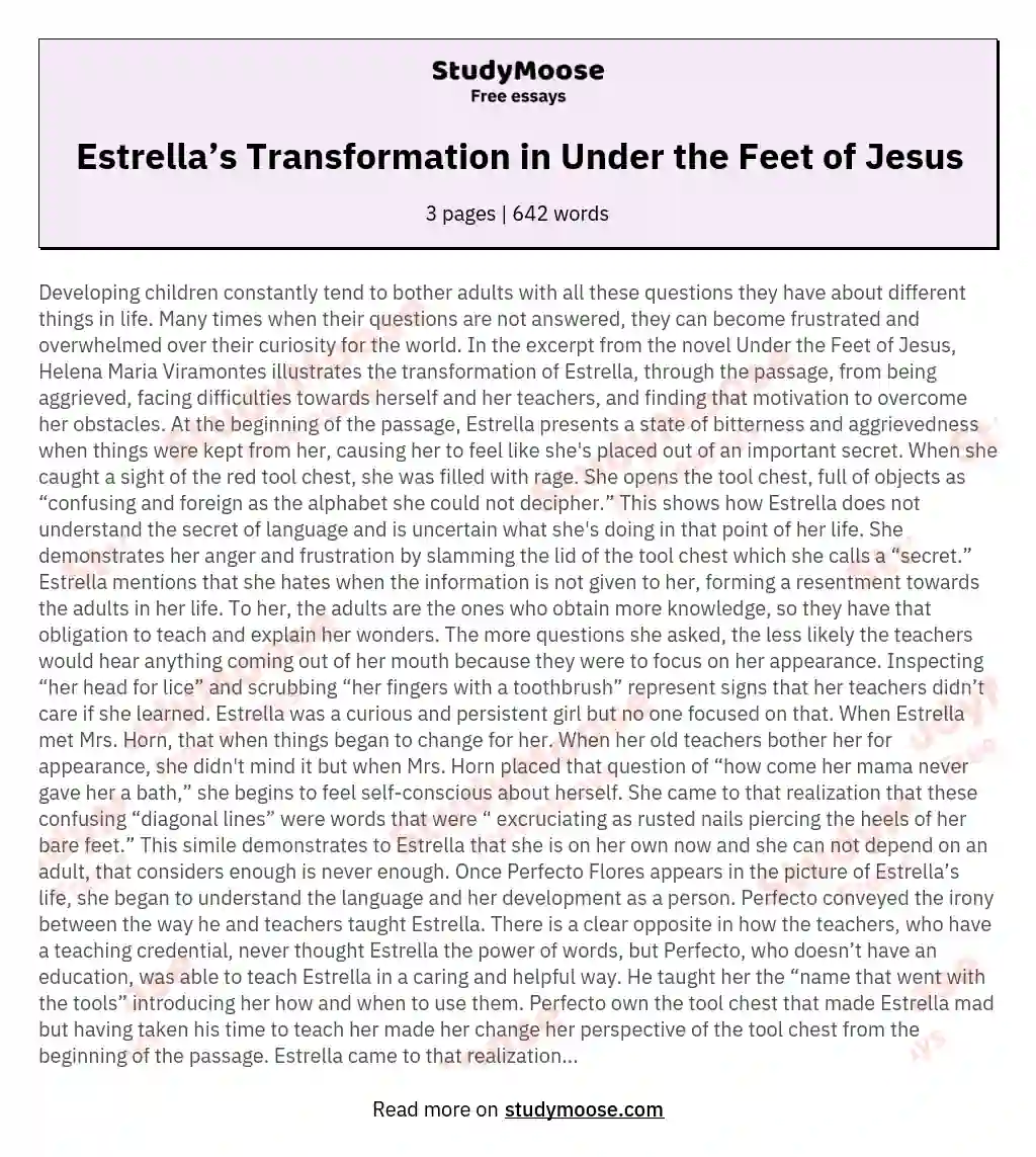 Estrella’s Transformation in Under the Feet of Jesus essay