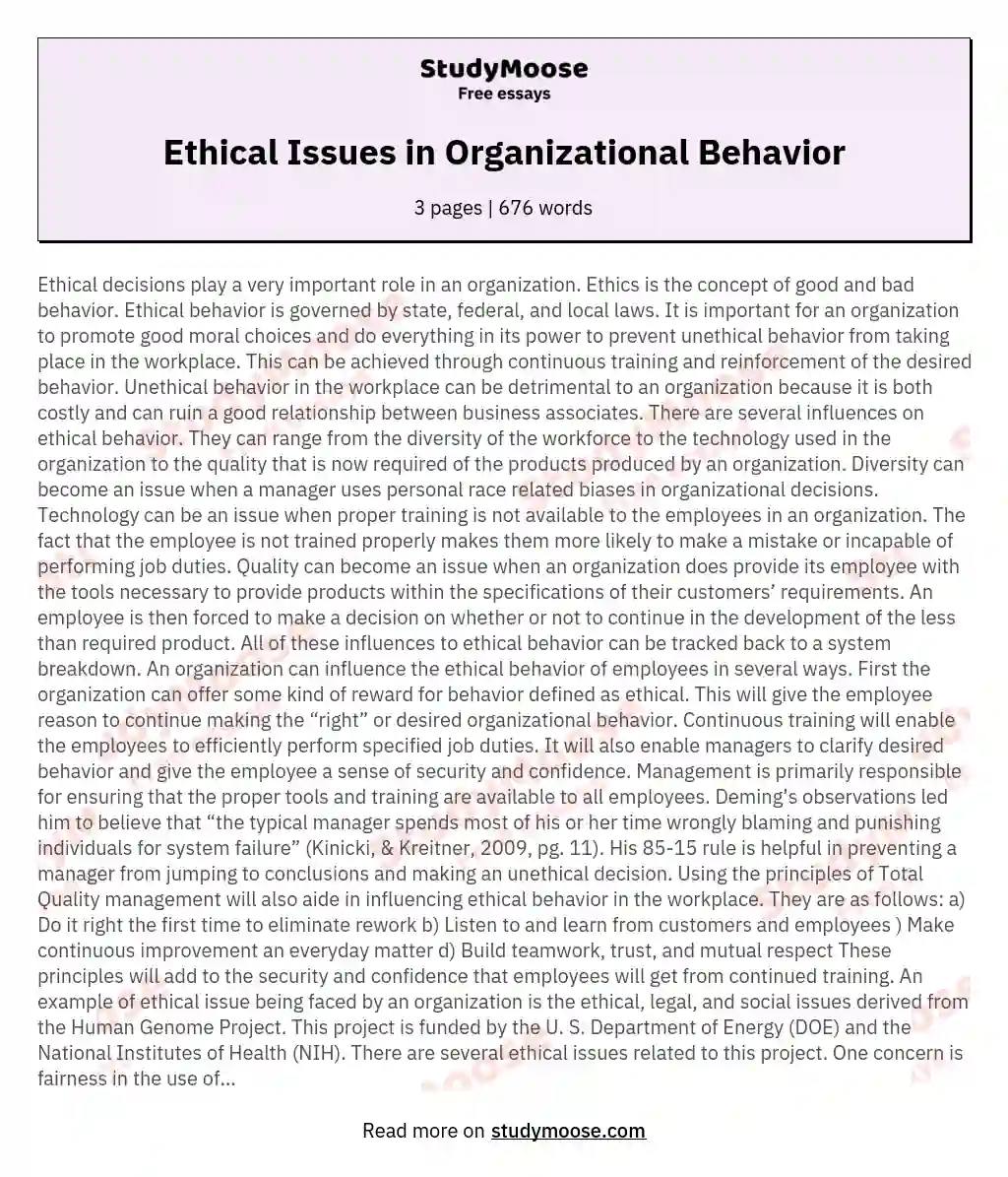 Ethical Issues in Organizational Behavior essay