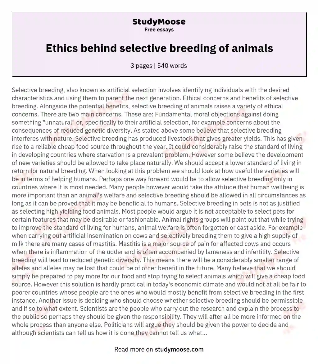 Ethics behind selective breeding of animals Free Essay Example