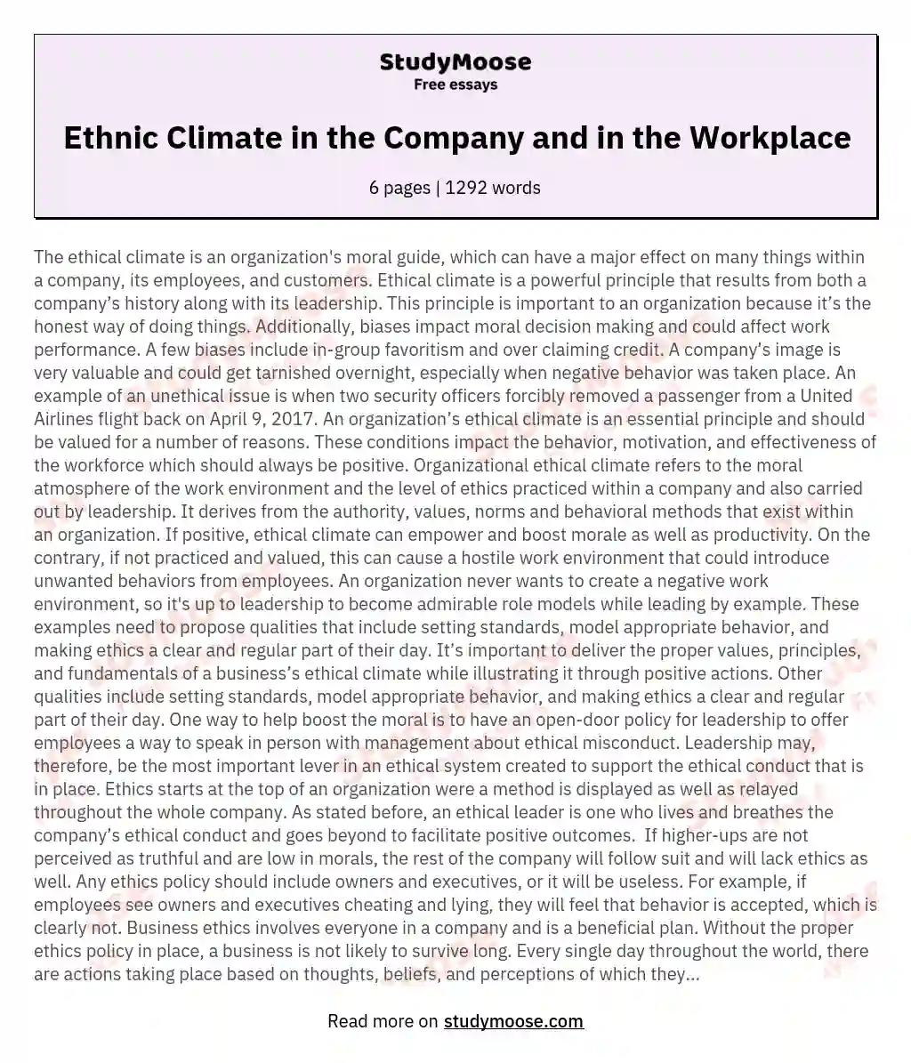 Ethnic Climate in the Company and in the Workplace essay