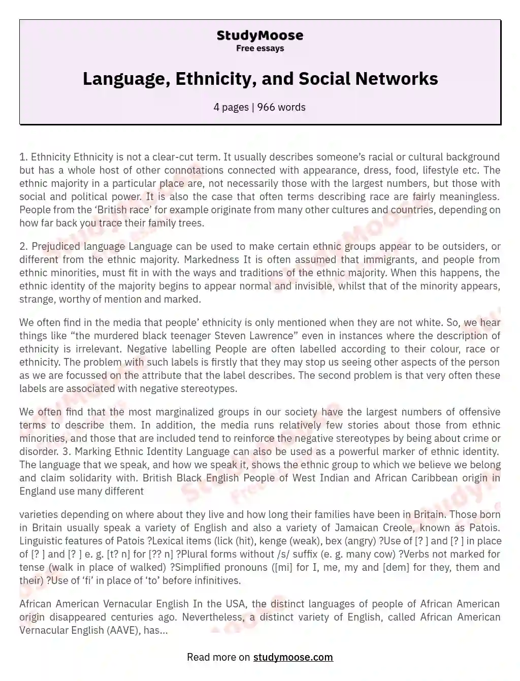 Language, Ethnicity, and Social Networks essay