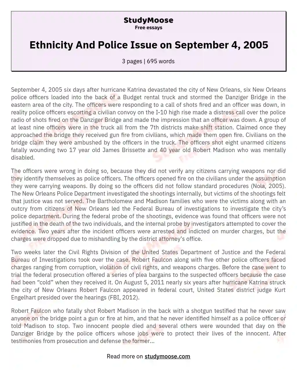 Ethnicity And Police Issue on September 4, 2005