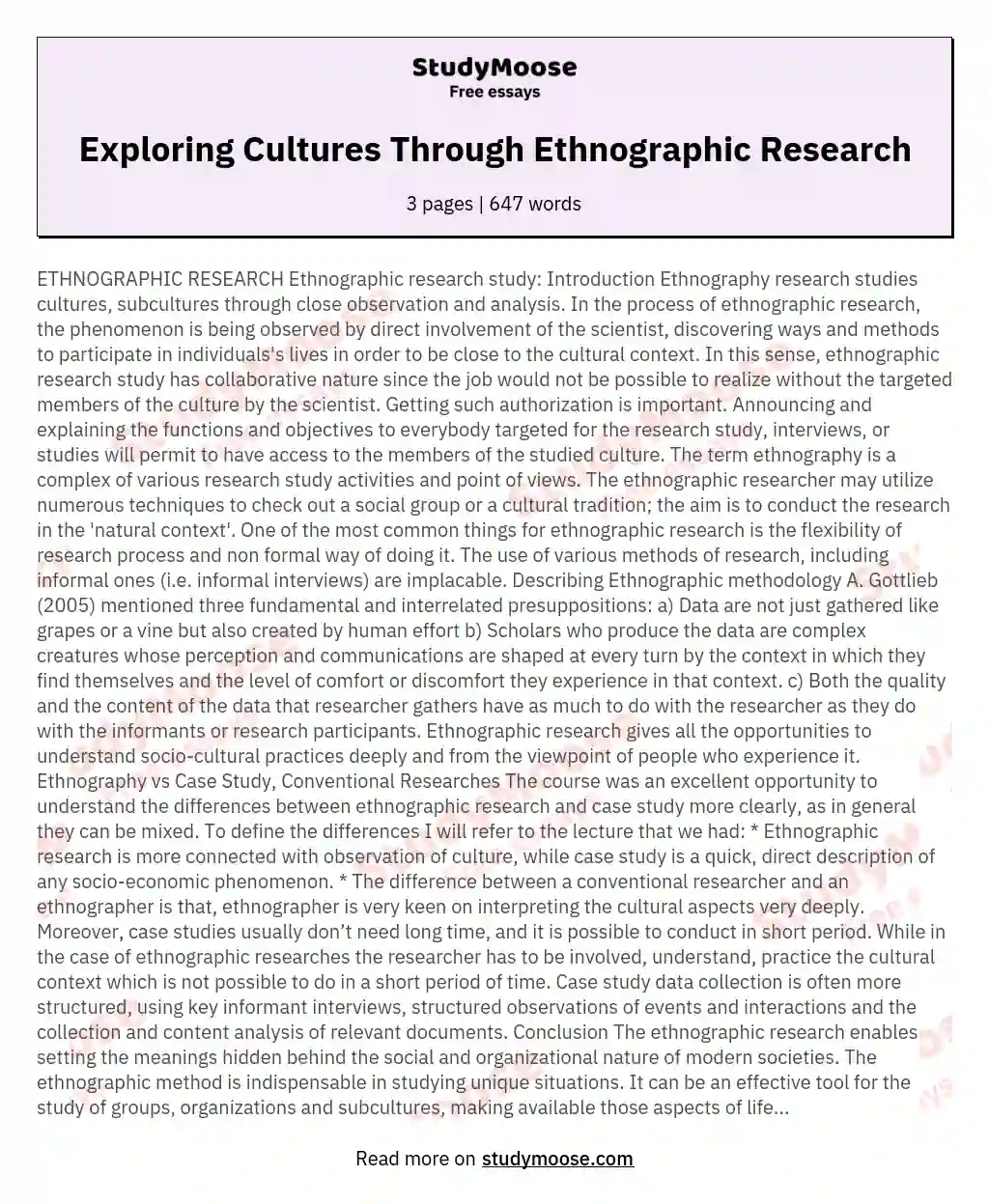 Exploring Cultures Through Ethnographic Research essay