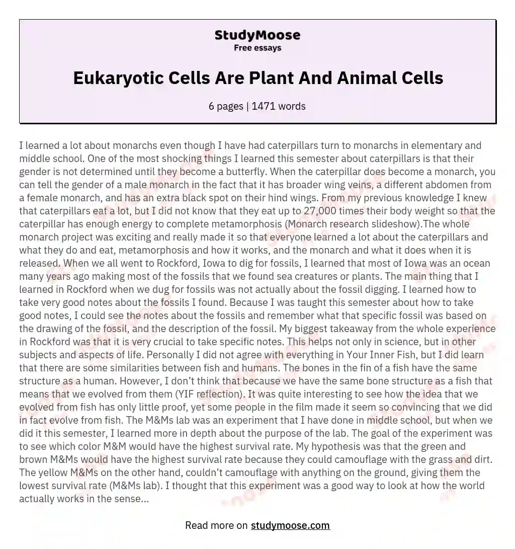 Eukaryotic Cells Are Plant And Animal Cells essay