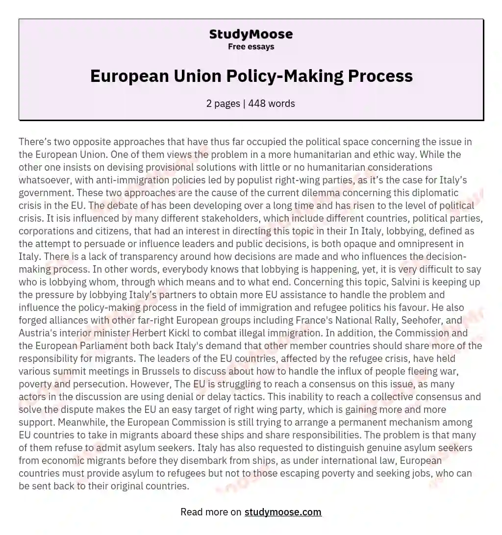 European Union Policy-Making Process essay