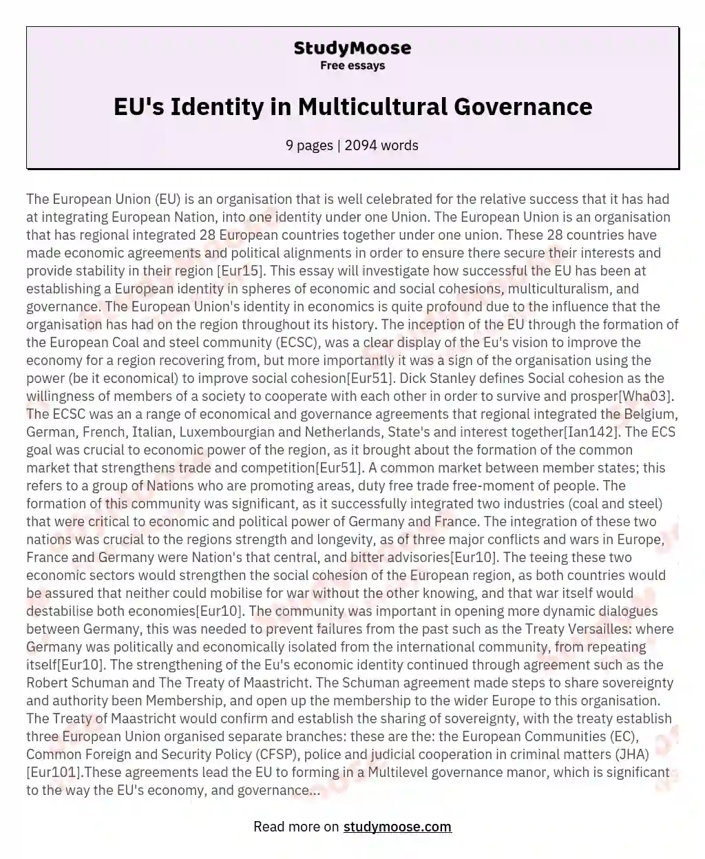 EU's Identity in Multicultural Governance essay