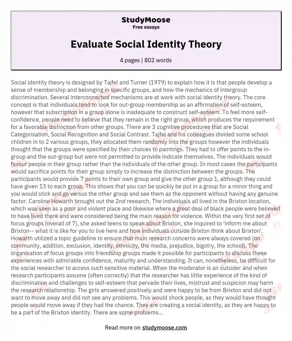 Evaluate Social Identity Theory essay