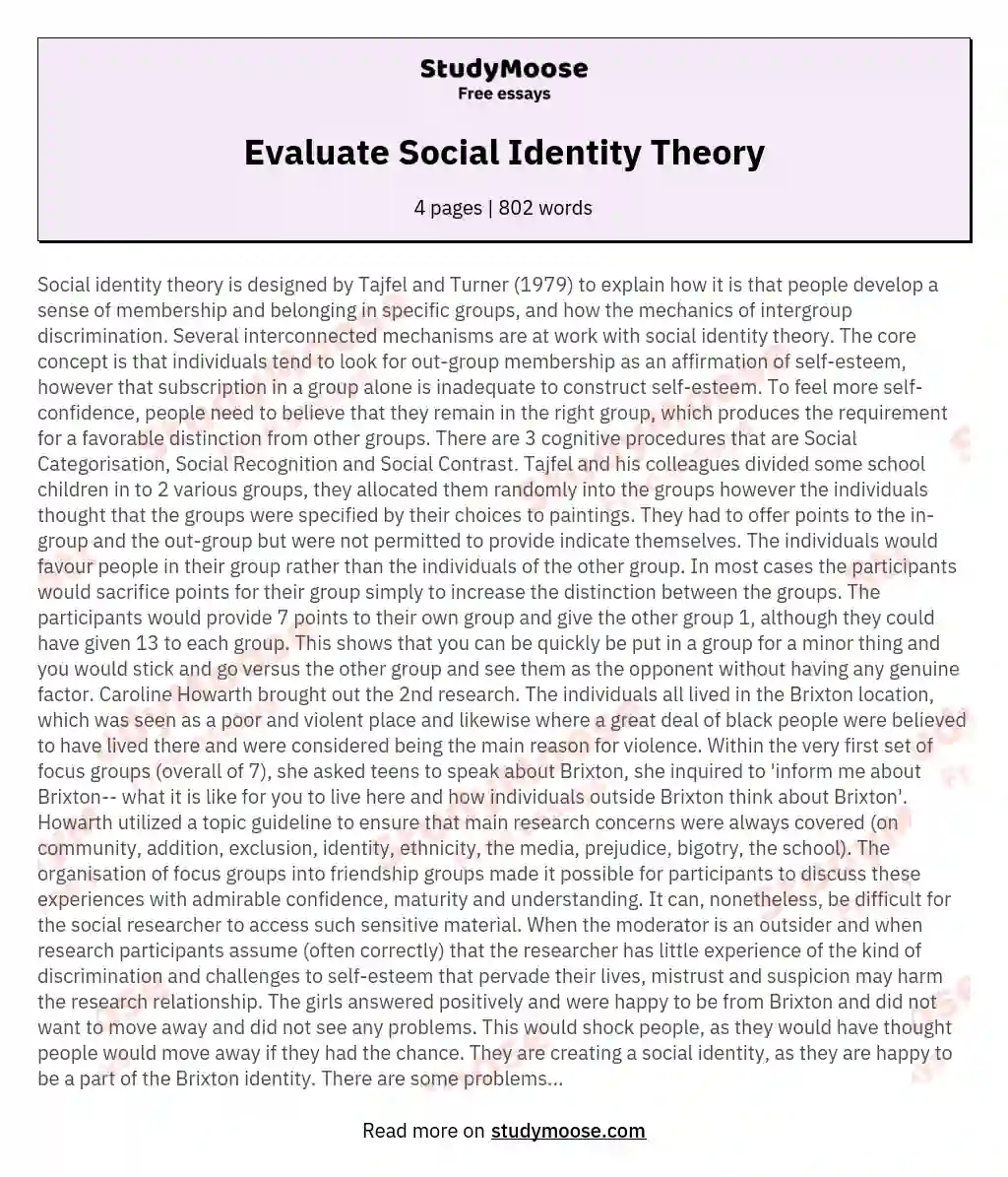 essay about my social identity