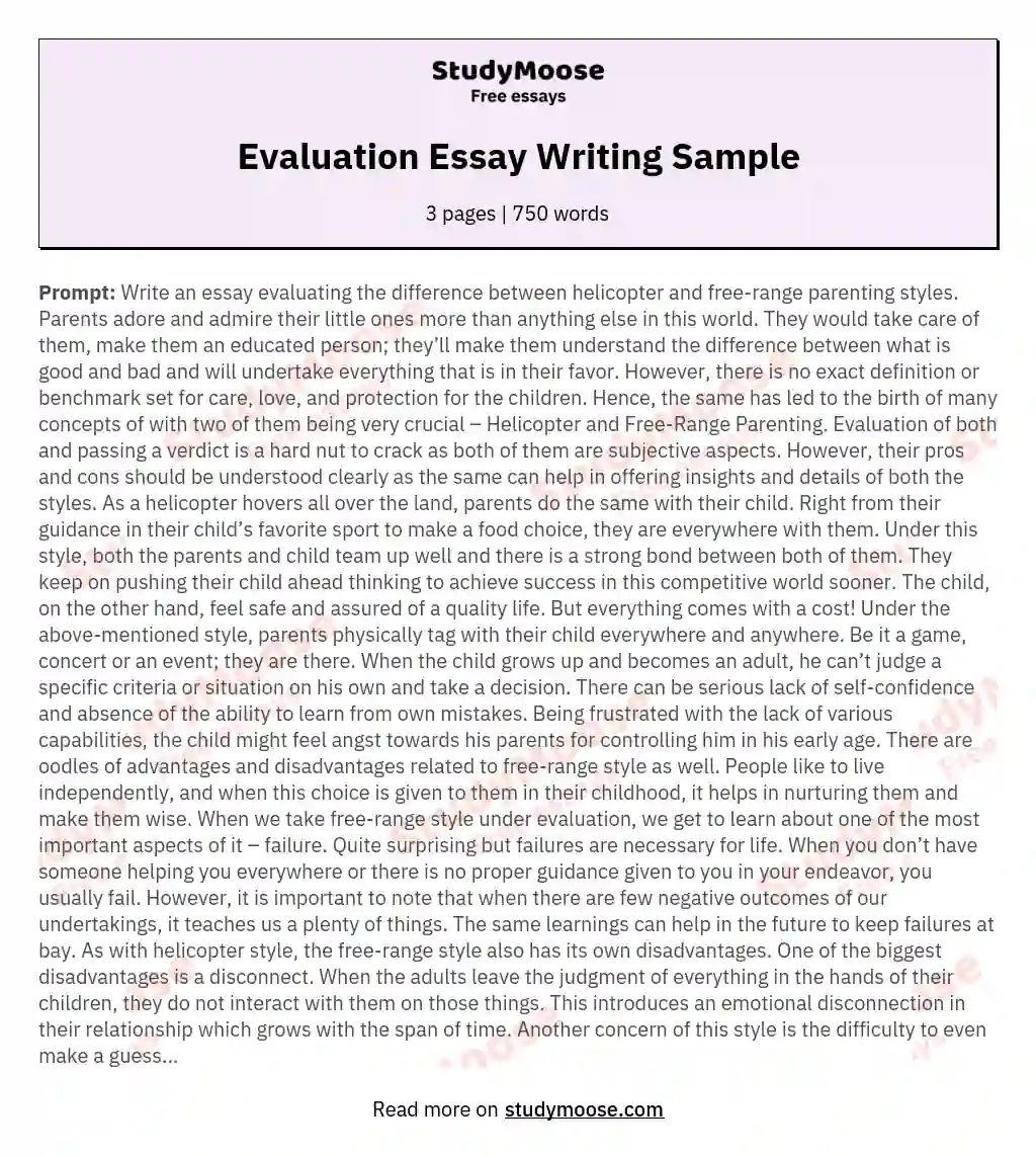 Evaluation Essay Writing Sample essay