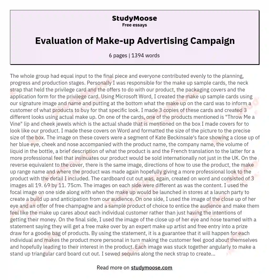 Evaluation of Make-up Advertising Campaign essay