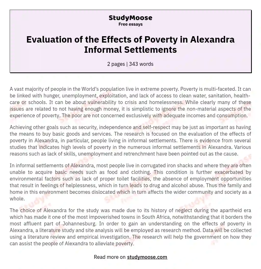 Evaluation of the Effects of Poverty in Alexandra Informal Settlements essay
