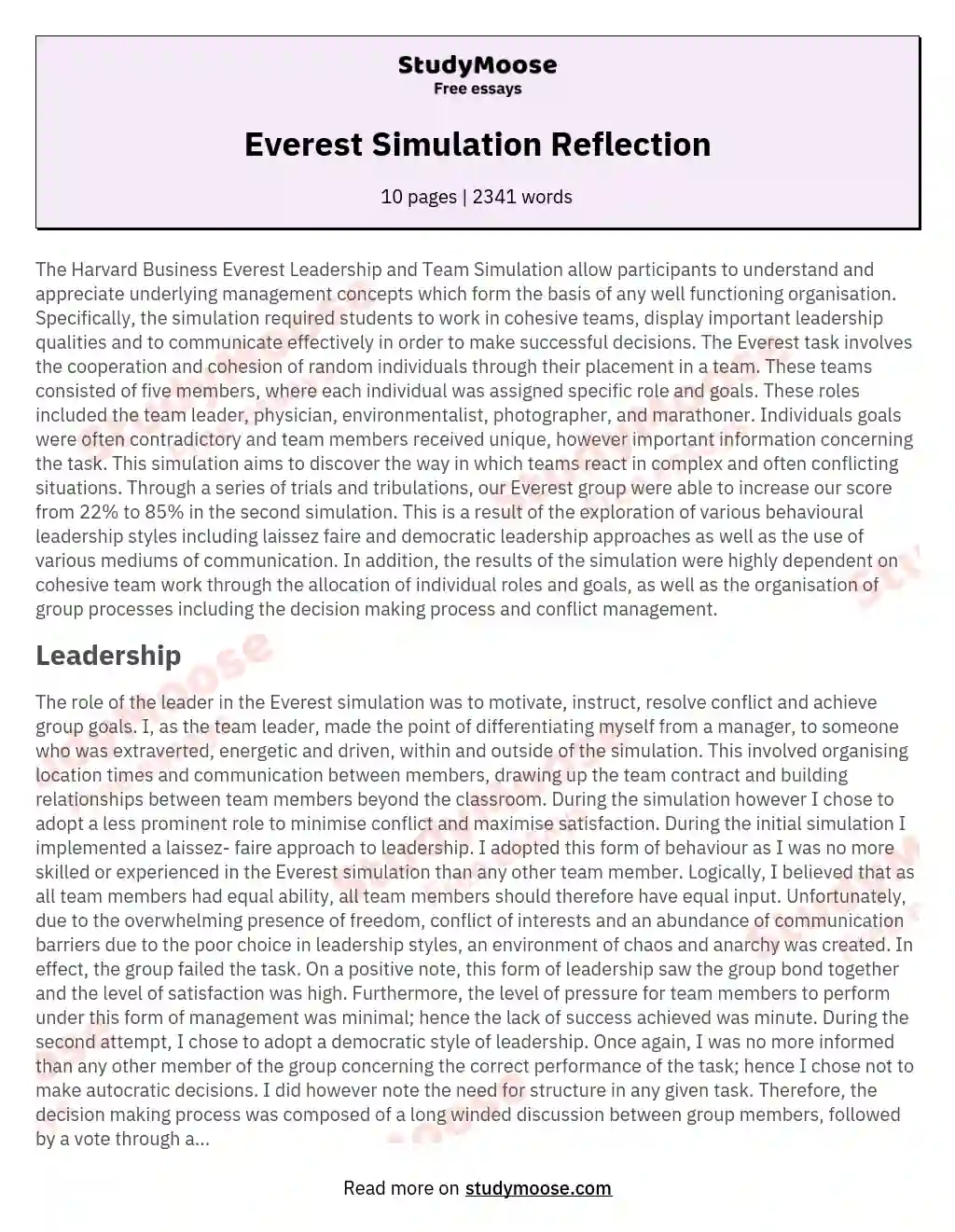 Everest Simulation Reflection essay
