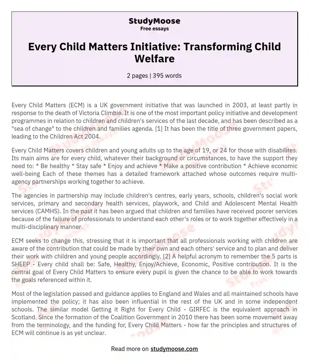 Every Child Matters Initiative: Transforming Child Welfare essay