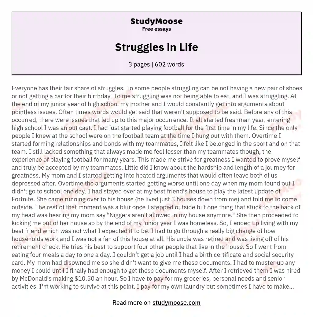 essay about struggle in life