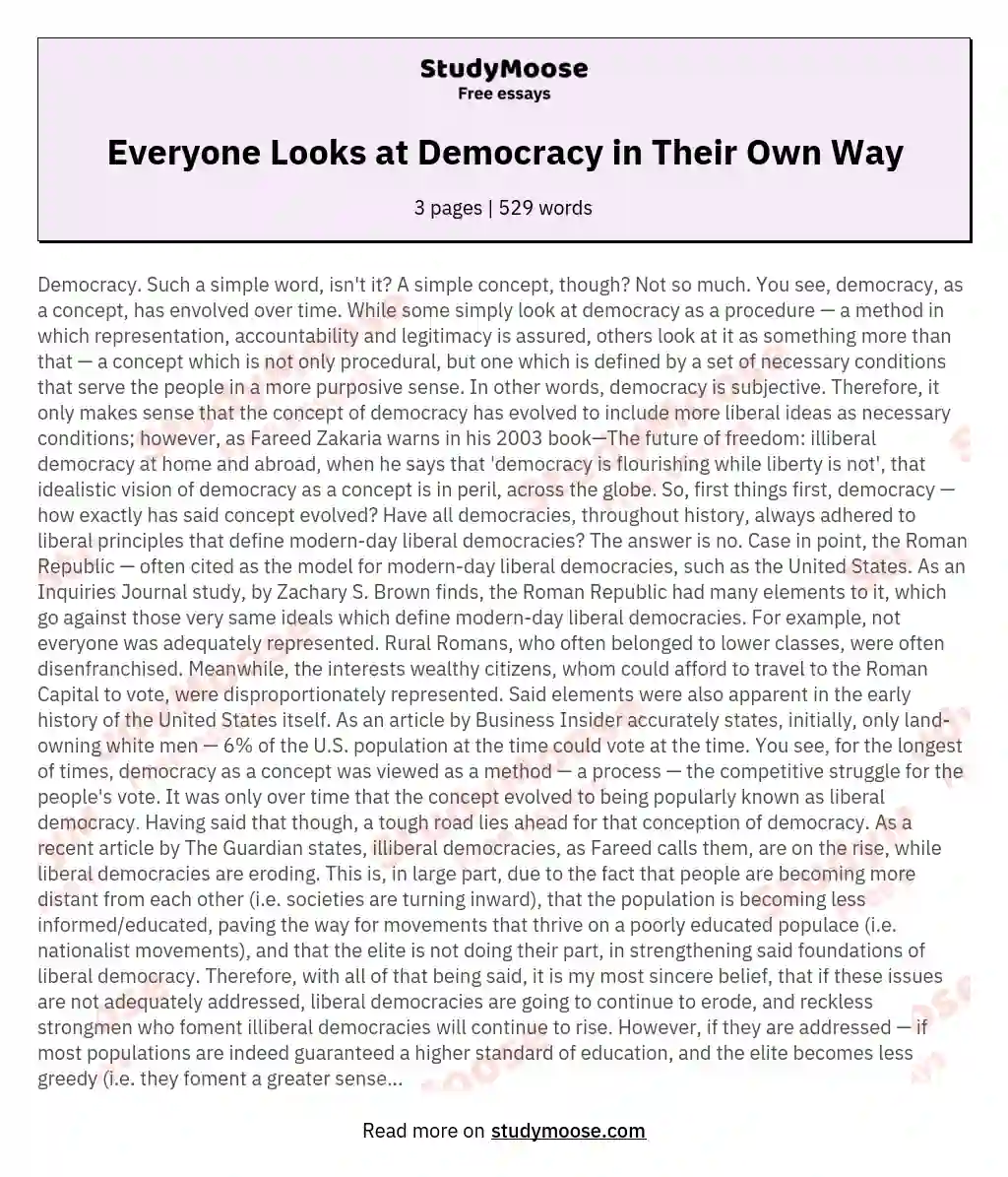 Everyone Looks at Democracy in Their Own Way essay