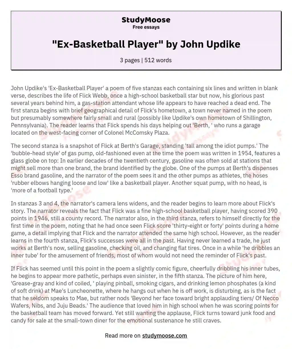 "Ex-Basketball Player" by John Updike essay