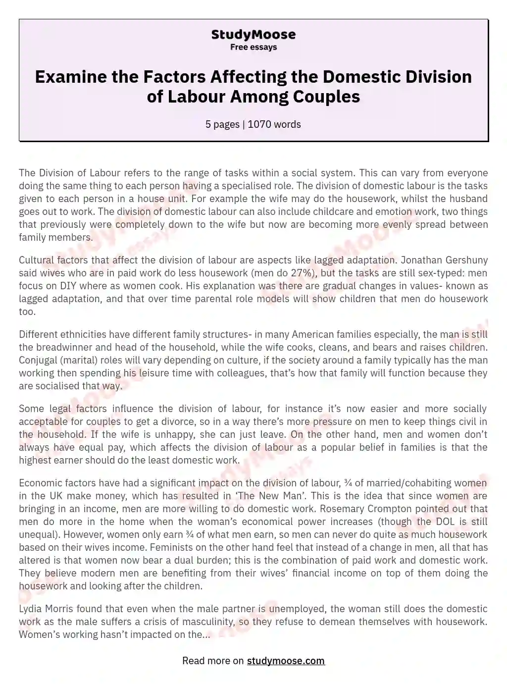 Examine the Factors Affecting the Domestic Division of Labour Among Couples